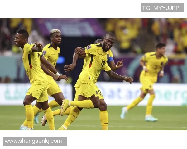 阿根廷与荷兰精彩对决央视全程直播赛事分析与精彩回顾