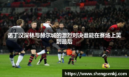 诺丁汉深林与赫尔城的激烈对决谁能在赛场上笑到最后